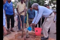 Photo Gallery (Plantation Drive from IIT Main Gate ( Khudupur Square) to NISER Square 2019)