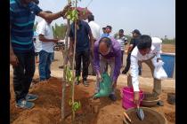 Plantation drive on the eve of World Environment Day