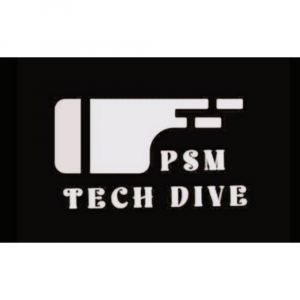 PSM Logo
